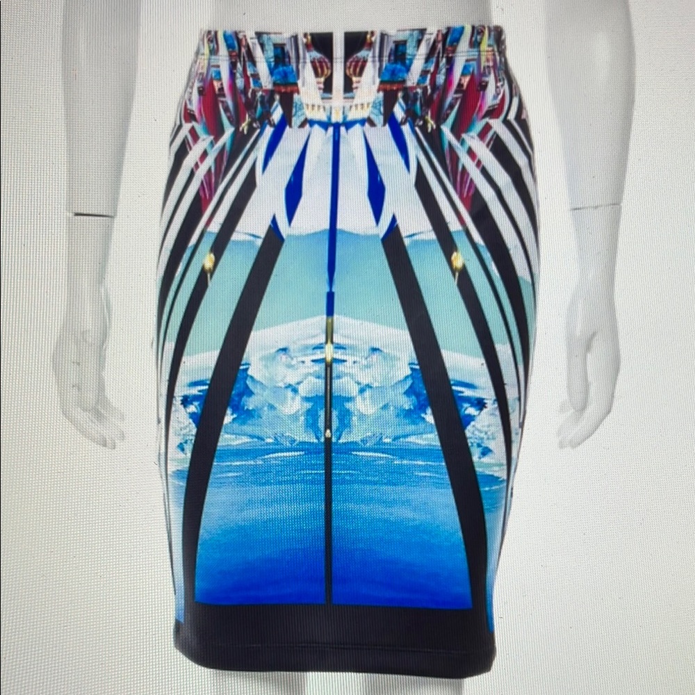 Clover Canyon Digital Printed Knee-Length Skirt Sz. XS